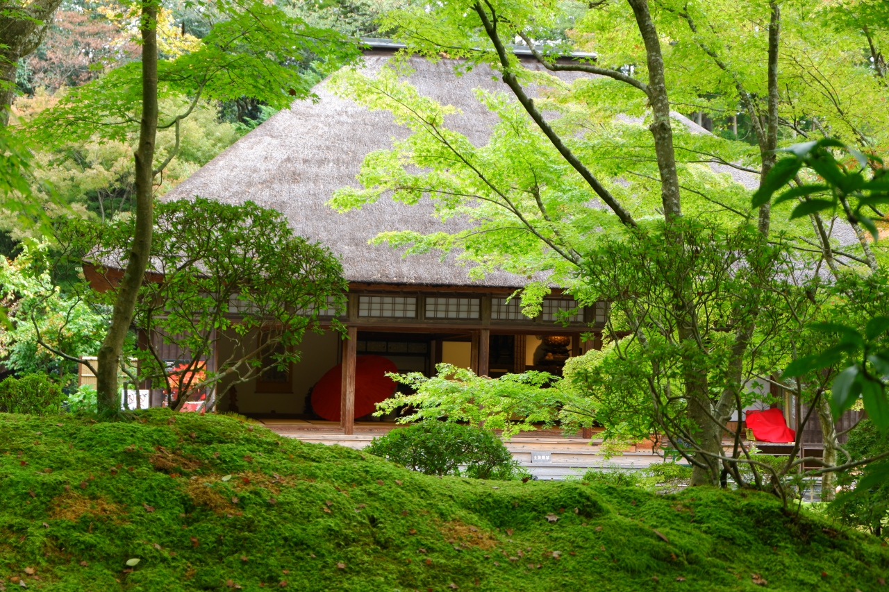 初めての松島観光 まだまだ青もみじ 松島 奥松島 宮城県 の旅行記 ブログ By まりもまめさん フォートラベル