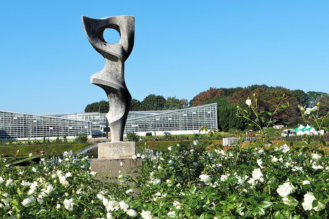 調布 神代植物公園 秋のバラフェスタ 新しいカメラの試し撮り 調布 狛江 東京 の旅行記 ブログ By あんこう鍋さん フォートラベル