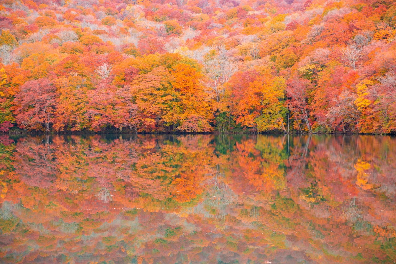 19秋田 青森紅葉撮影旅行4 奥入瀬 十和田湖 青森県 の旅行記 ブログ By まほりんさん フォートラベル