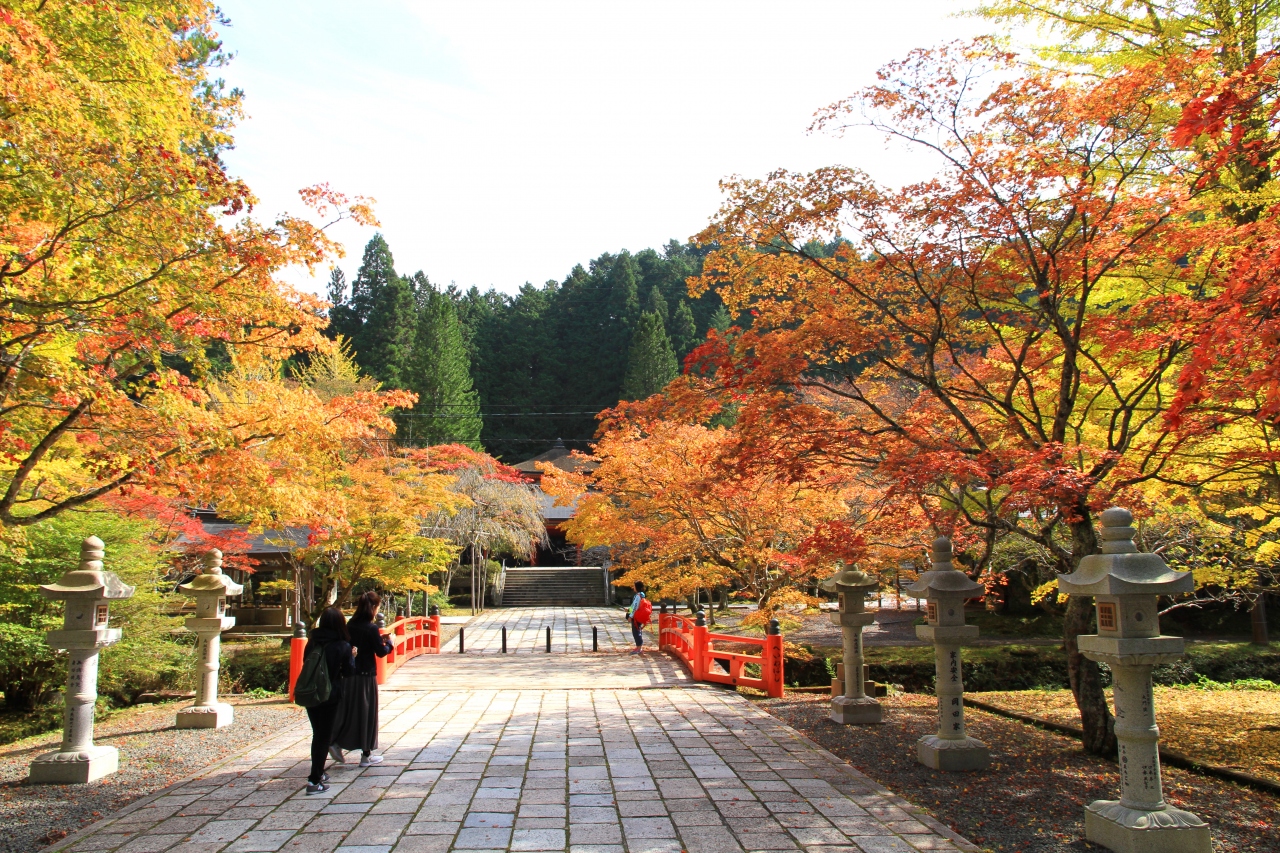 高野山の紅葉 色づきはじめ 高野山周辺 和歌山県 の旅行記 ブログ By きよさん フォートラベル