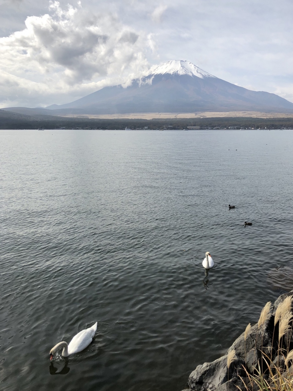 エクシブ山中湖 ラージ Hタイプ 1泊2日 富士五湖 山梨県 の旅行記 ブログ By Mpiroさん フォートラベル