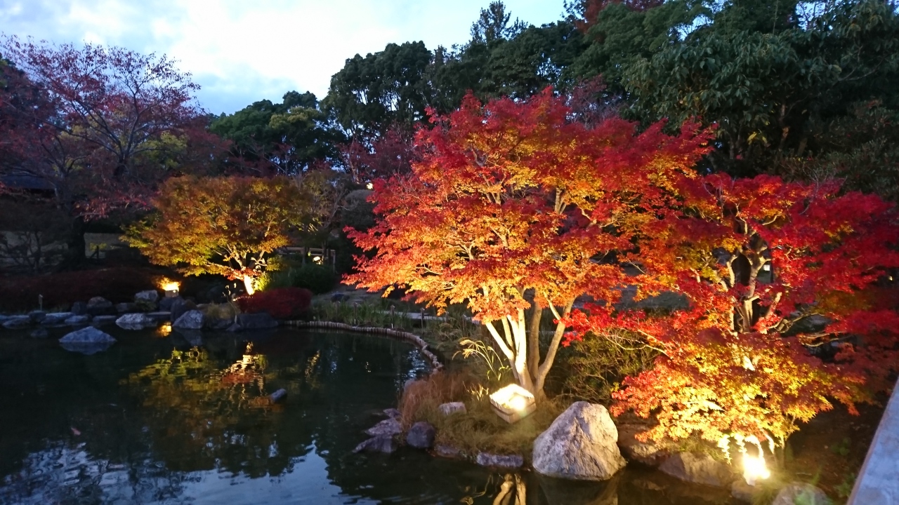 土日は神戸市にある しあわせの村 でお泊まり 神戸 兵庫県 の旅行記 ブログ By Bettyさん フォートラベル 土日は神戸市にある しあわせの村 でお泊まり 神戸 兵庫県 の旅行記 ブログ By Bettyさん フォートラベル