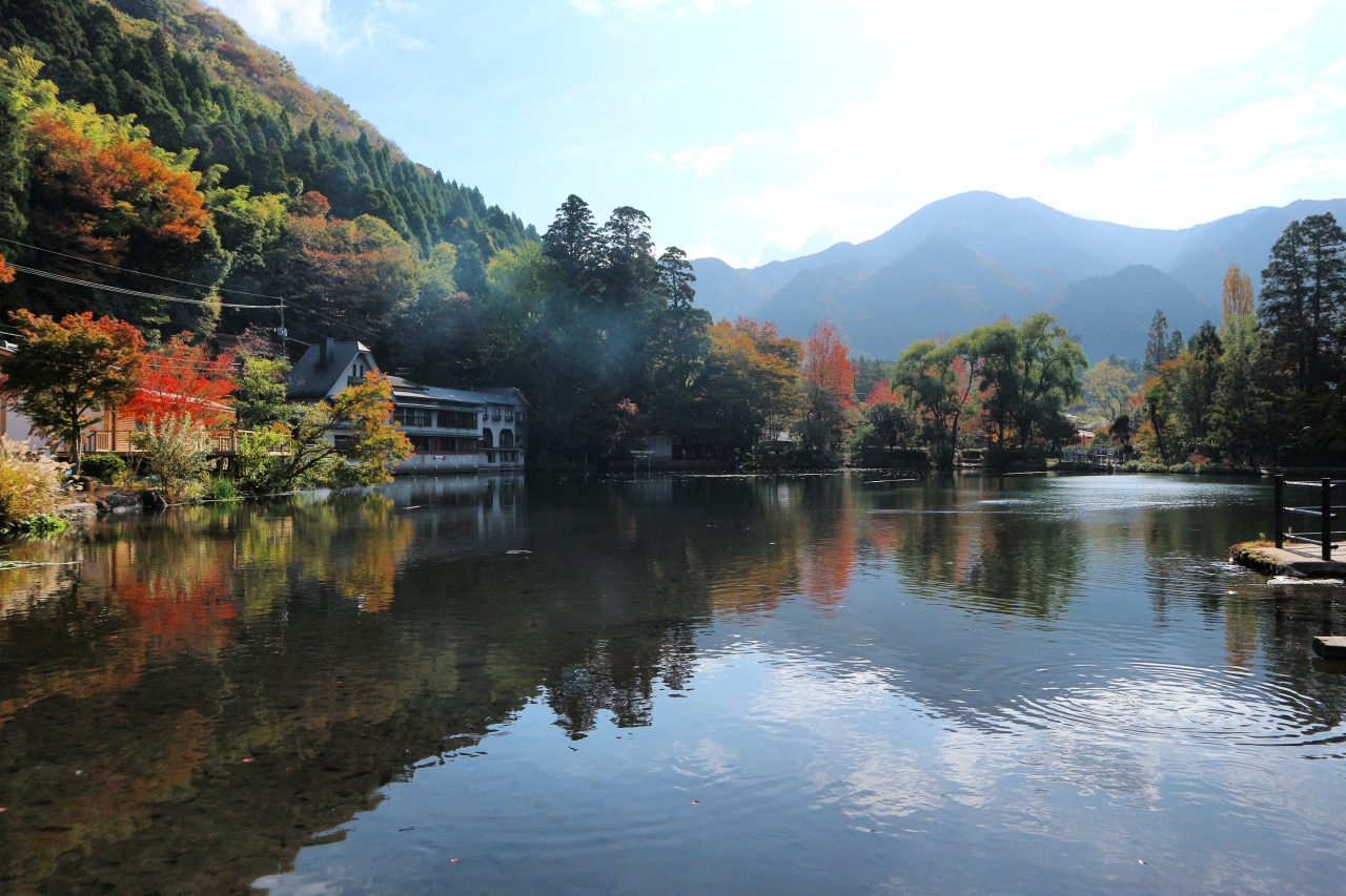 秋の紅葉 湯布院さんぽ ミッフィー森のパン屋さんへ 湯布院 由布院温泉 大分県 の旅行記 ブログ By シフォンさん フォートラベル