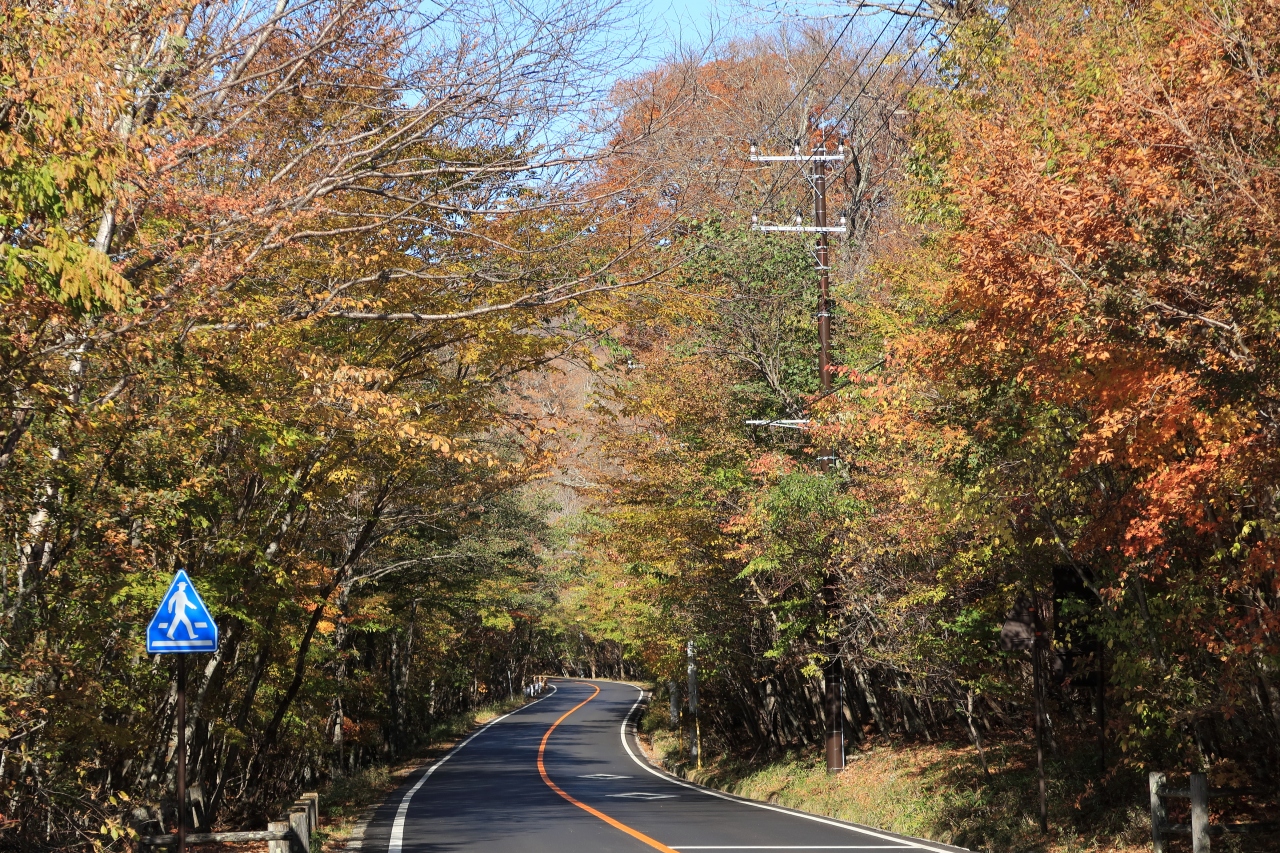 丸山駐車場 栃木県日光市 へ 日光 栃木県 の旅行記 ブログ By Fuji26さん フォートラベル 丸山駐車場 栃木県日光市 へ 日光 栃木県 の旅行記 ブログ By Fuji26さん フォートラベル