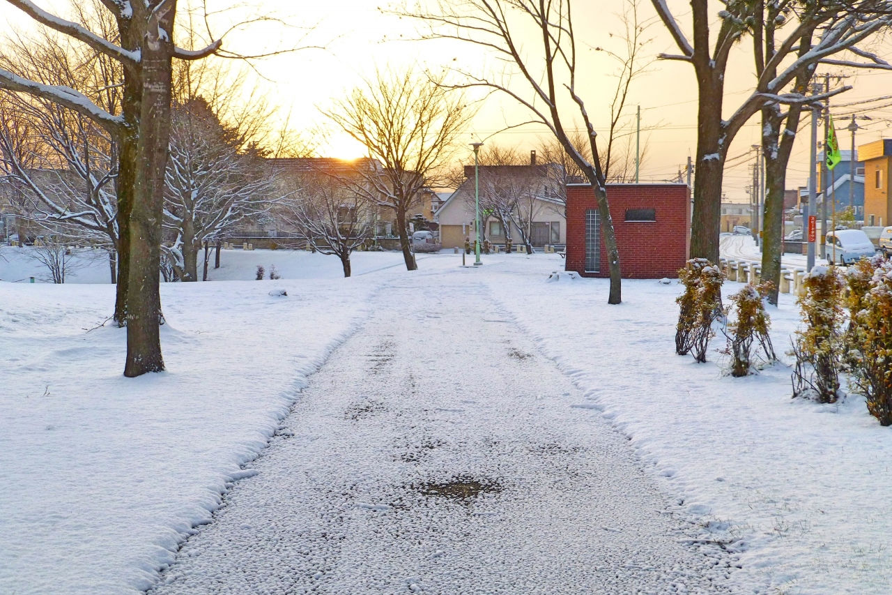 雪が降ってきた 江別 北海道 の旅行記 ブログ By ひま爺さん フォートラベル 雪が降ってきた 江別 北海道 の旅行記 ブログ By ひま爺さん フォートラベル
