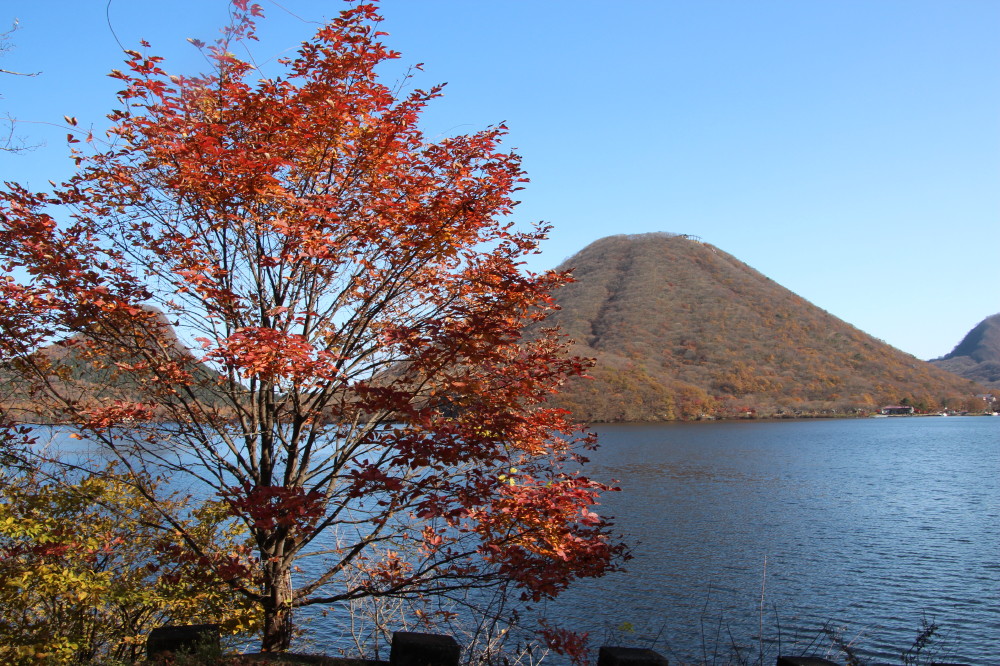 榛名湖 山の紅葉 榛名 吾妻 群馬県 の旅行記 ブログ By アトムさん フォートラベル