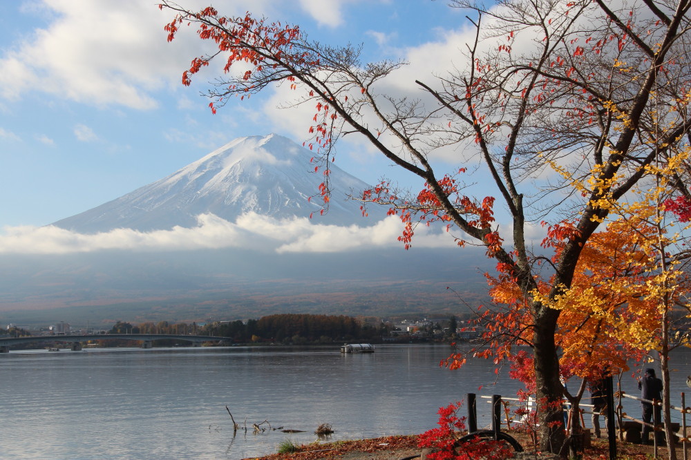 河口湖紅葉まつり 富士五湖 山梨県 の旅行記 ブログ By アトムさん フォートラベル 河口湖紅葉まつり 富士五湖 山梨県 の旅行記 ブログ By アトムさん フォートラベル