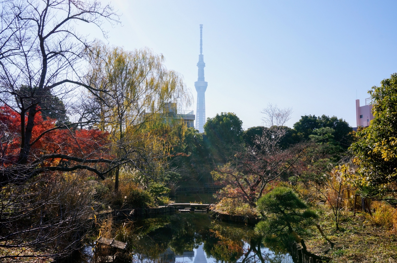 都立庭園カレンダーｇｅｔ ９か所都内庭園巡り 向島百花園 浅草 東京 の旅行記 ブログ By Black7さん フォートラベル