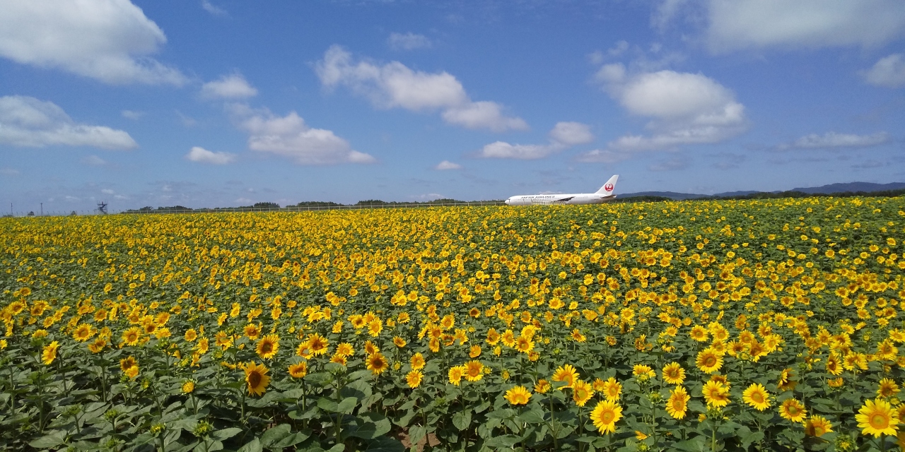 19 東北海道の旅 その３ 女満別 美幌 北海道 の旅行記 ブログ By さよりさん フォートラベル