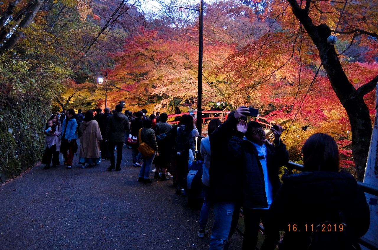 伊香保神社の紅葉と おもちゃと人形 自動車博物館 伊香保温泉 群馬県 の旅行記 ブログ By ヒゲgさん フォートラベル 伊香保神社の紅葉と おもちゃと人形 自動車博物館 伊香保温泉 群馬県 の旅行記 ブログ By ヒゲgさん フォートラベル
