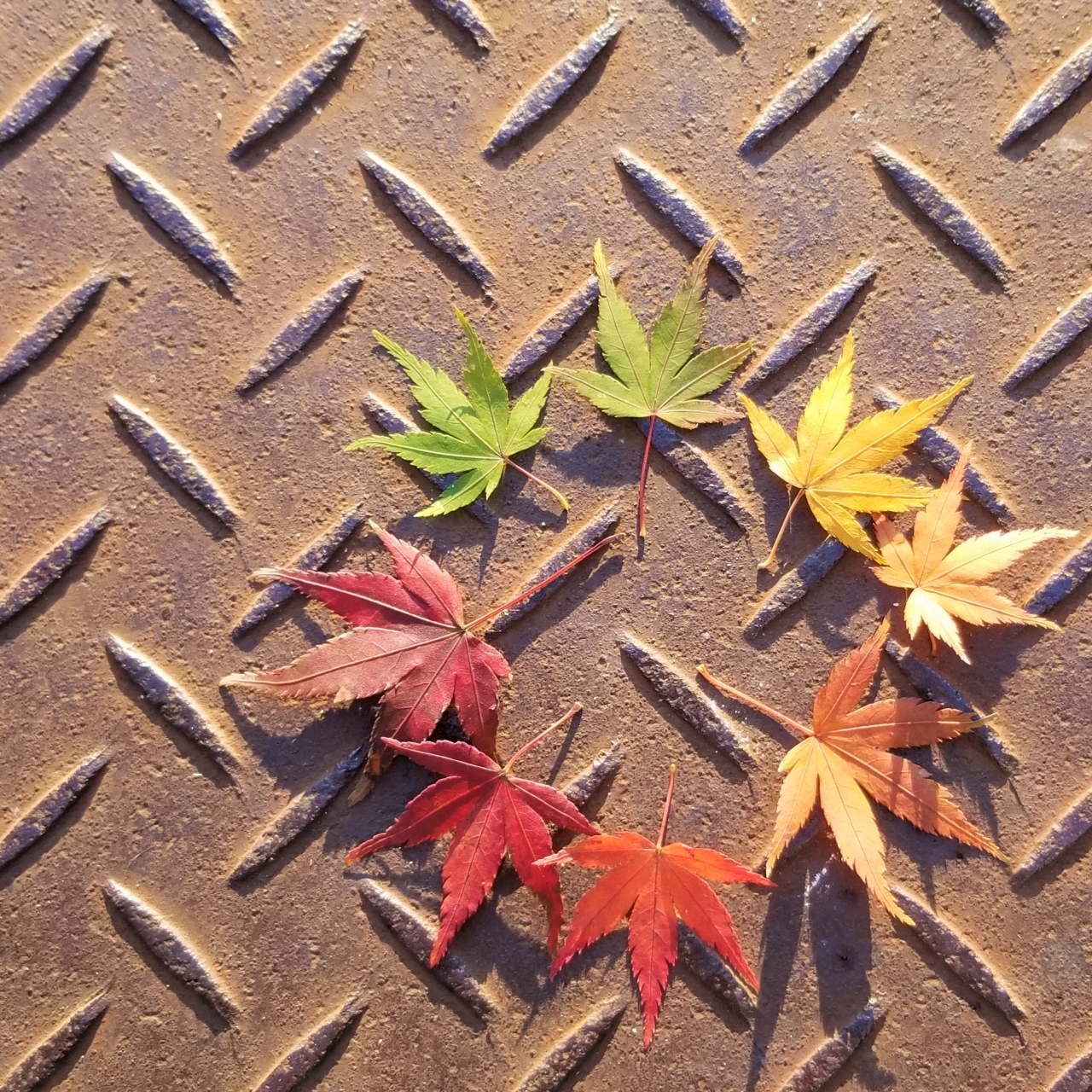紅葉し始めた円良田湖 つぶらた湖 でワカサギ釣り 埼玉県 寄居町 深谷 寄居 埼玉県 の旅行記 ブログ By Usakoさん フォートラベル