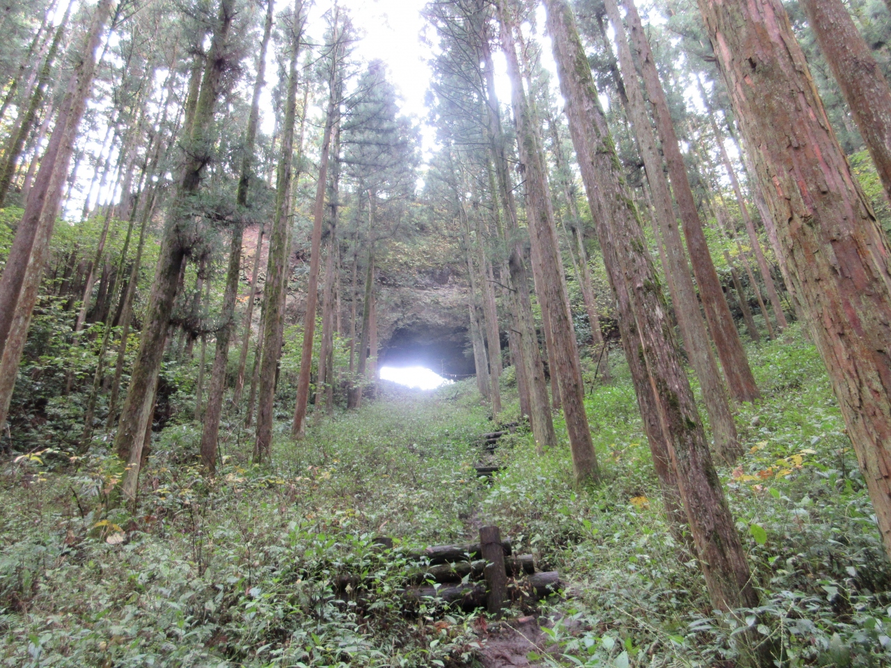 1泊2日熊本旅行 19年10月 宿房あそ 阿蘇 熊本県 の旅行記 ブログ By コイチさん フォートラベル 1泊2日熊本旅行 19年10月 宿房あそ 阿蘇 熊本県 の旅行記 ブログ By コイチさん フォートラベル