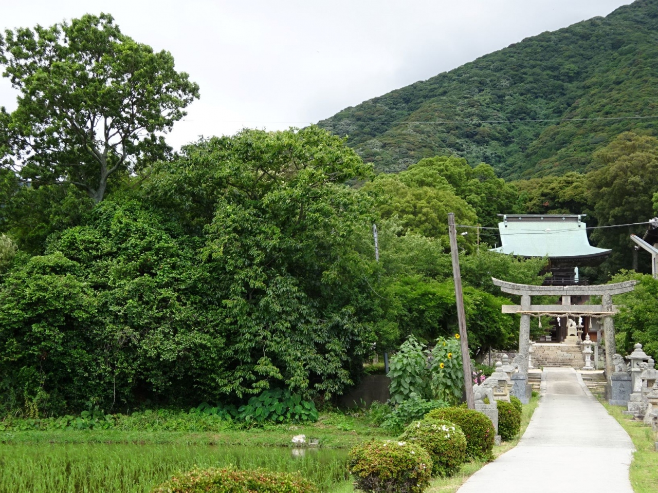 諸国神社参り 山陰山陽１ー長門国 下関 山口県 の旅行記 ブログ By しにあの旅人さん フォートラベル