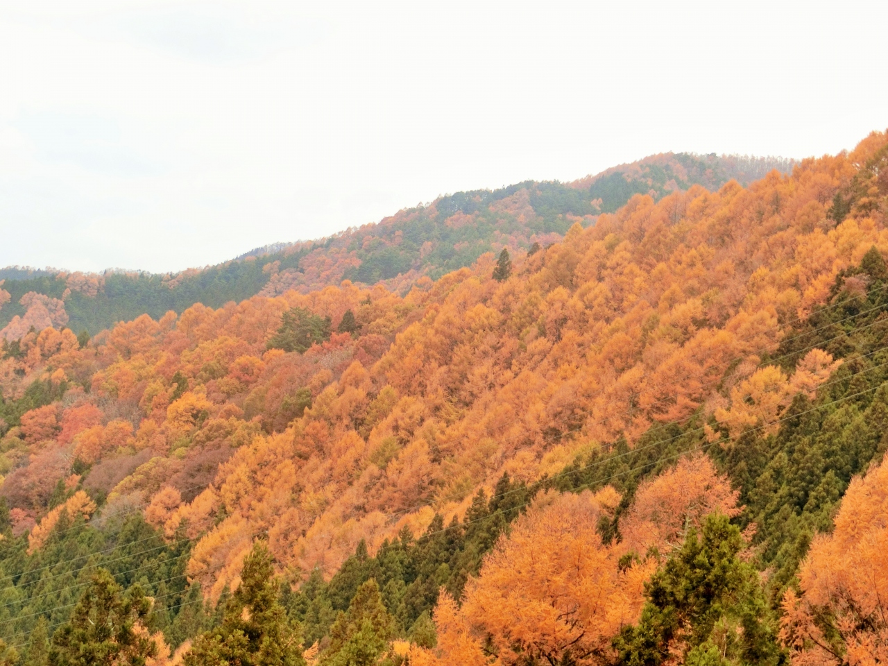 晩秋の志賀高原へ 澗満滝を見てから標高の低いエリアに残っていた紅葉を楽しみました 湯田中渋温泉郷 志賀高原 長野県 の旅行記 ブログ By Nichiさん フォートラベル