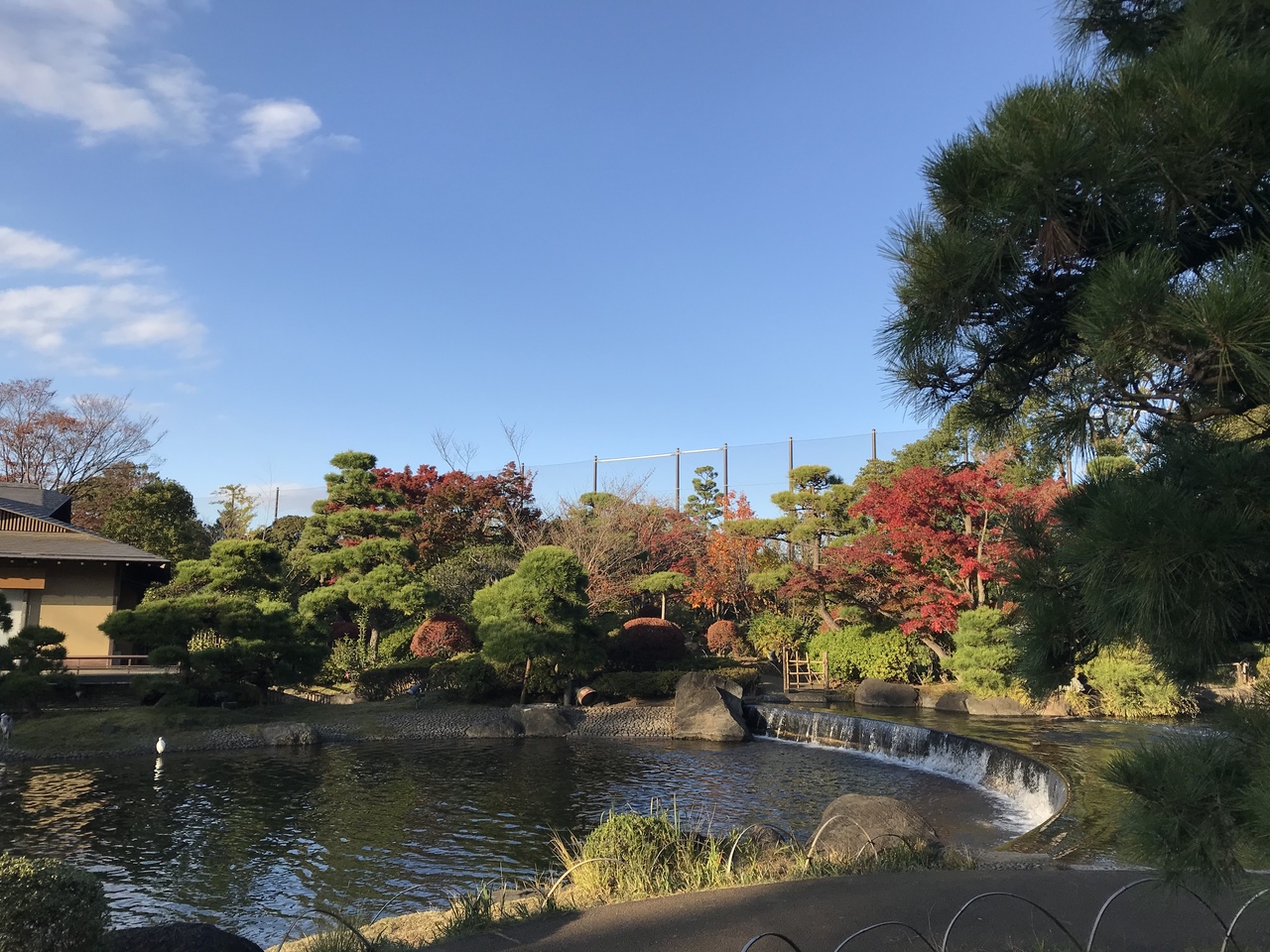 東京散歩 江戸川区西葛西から船堀へ 葛西 東京 の旅行記 ブログ By Miroさん フォートラベル 東京散歩 江戸川区西葛西から船堀へ 葛西 東京 の旅行記 ブログ By Miroさん フォートラベル