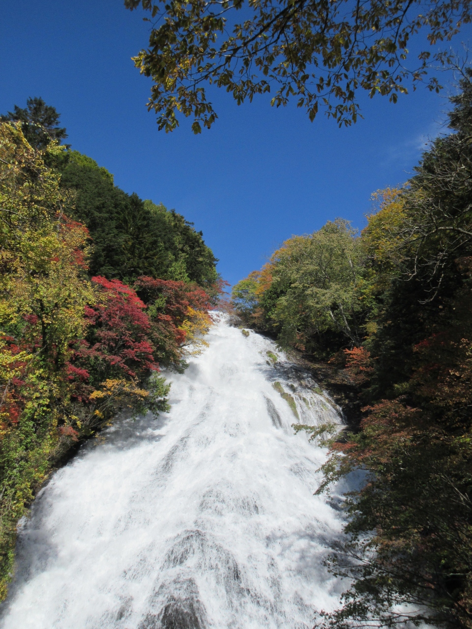 日光の紅葉と温泉の旅 2日目 日光湯元源泉 温泉寺での入浴 湯滝 戦場ヶ原 竜頭の滝 中禅寺湖 東照宮 日光湯元温泉 栃木県 の旅行記 ブログ By Yuririnさん フォートラベル 日光の紅葉と温泉の旅 2日目 日光湯元源泉 温泉寺での入浴 湯滝 戦場ヶ原 竜頭の滝 中禅寺湖 東照宮 日光湯元温泉 栃木県 の旅行記 ブログ By Yuririnさん フォートラベル