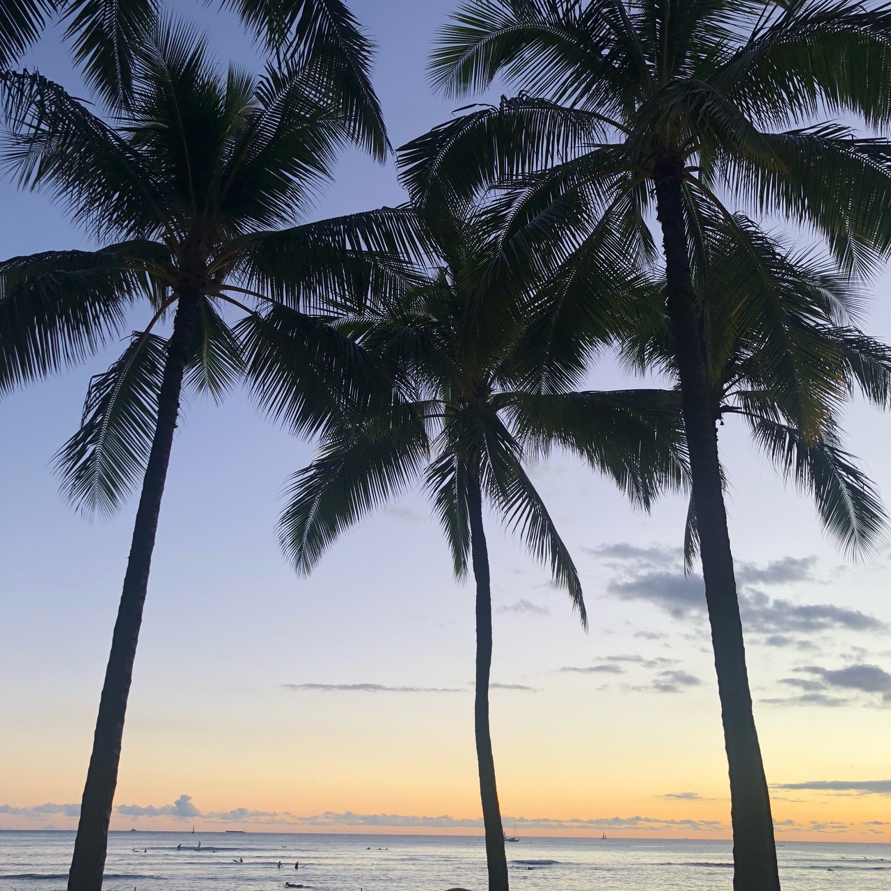 秋のハワイまったり女子旅 ハワイの旅行記 ブログ By Chiru さん フォートラベル