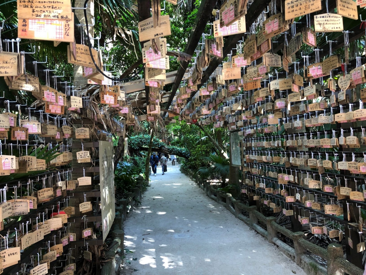 2泊3日の宮崎観光 宮崎市 宮崎県 の旅行記 ブログ By アレックスさん フォートラベル