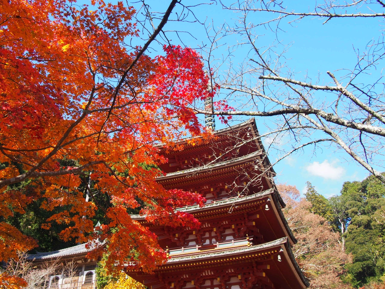 19紅葉 長谷寺 室生寺ライトアップもあって魅力的 室生 宇陀 奈良県 の旅行記 ブログ By Maggiさん フォートラベル