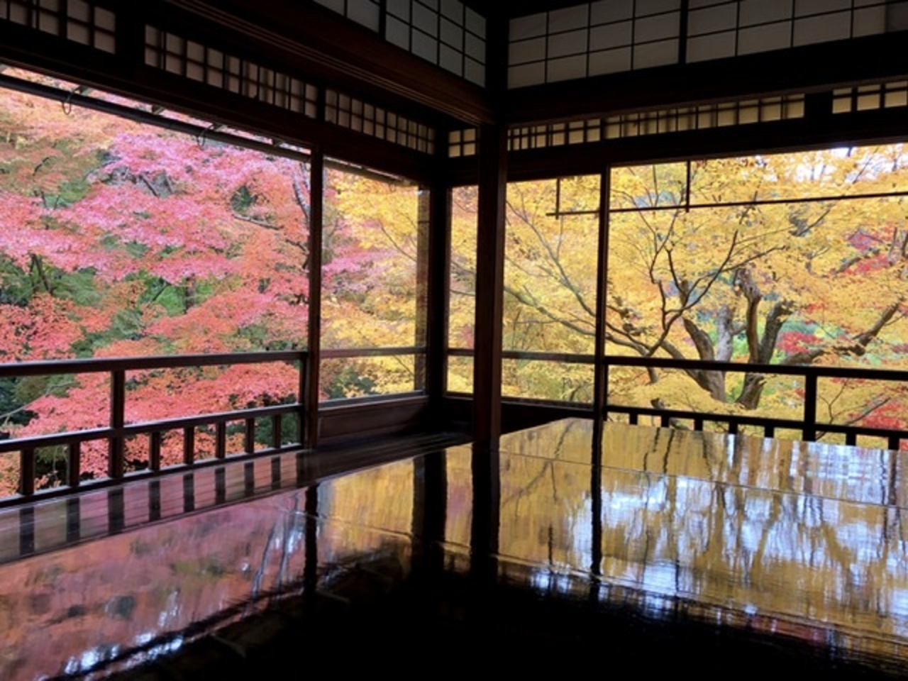 11月末 瑠璃光院の紅葉 八瀬 大原 貴船 鞍馬 京都 の旅行記 ブログ By タヌチーノさん フォートラベル 11月末 瑠璃光院の紅葉 八瀬 大原 貴船 鞍馬 京都 の旅行記 ブログ By タヌチーノさん フォートラベル