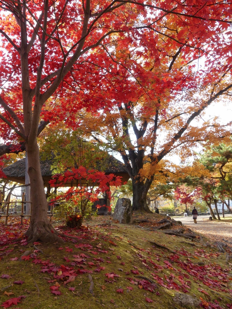 秋の 懐古園 19 紅葉は見頃を終わりかけています 長野県 小諸市 小諸 御代田 長野県 の旅行記 ブログ By Minamicazeさん フォートラベル 秋の 懐古園 19 紅葉は見頃を終わりかけています 長野県 小諸市 小諸 御代田 長野県 の旅行記 ブログ By Minamicazeさん フォートラベル