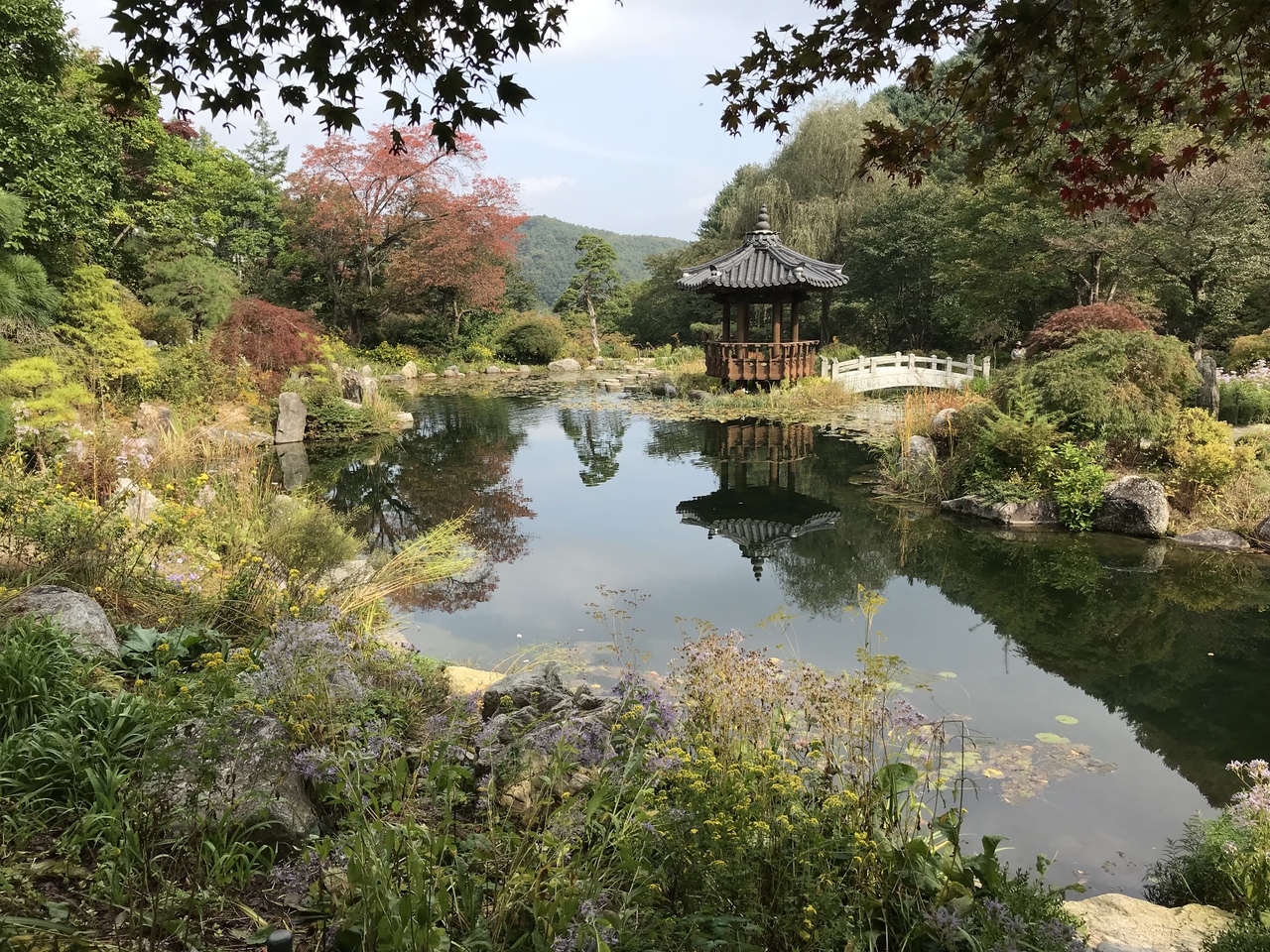 9回目は韓国縦断 韓国の旅行記 ブログ By Sasukeさん フォートラベル 9回目は韓国縦断 韓国の旅行記 ブログ By Sasukeさん フォートラベル