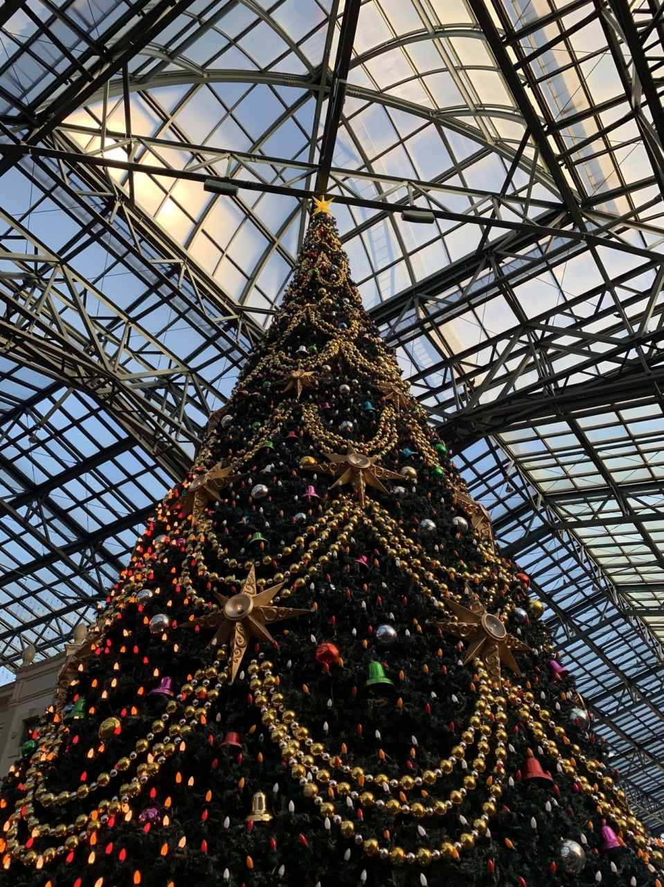 久しぶりのディズニー 19 東京ディズニーリゾート 千葉県 の旅行記 ブログ By まつぼっくりさん フォートラベル