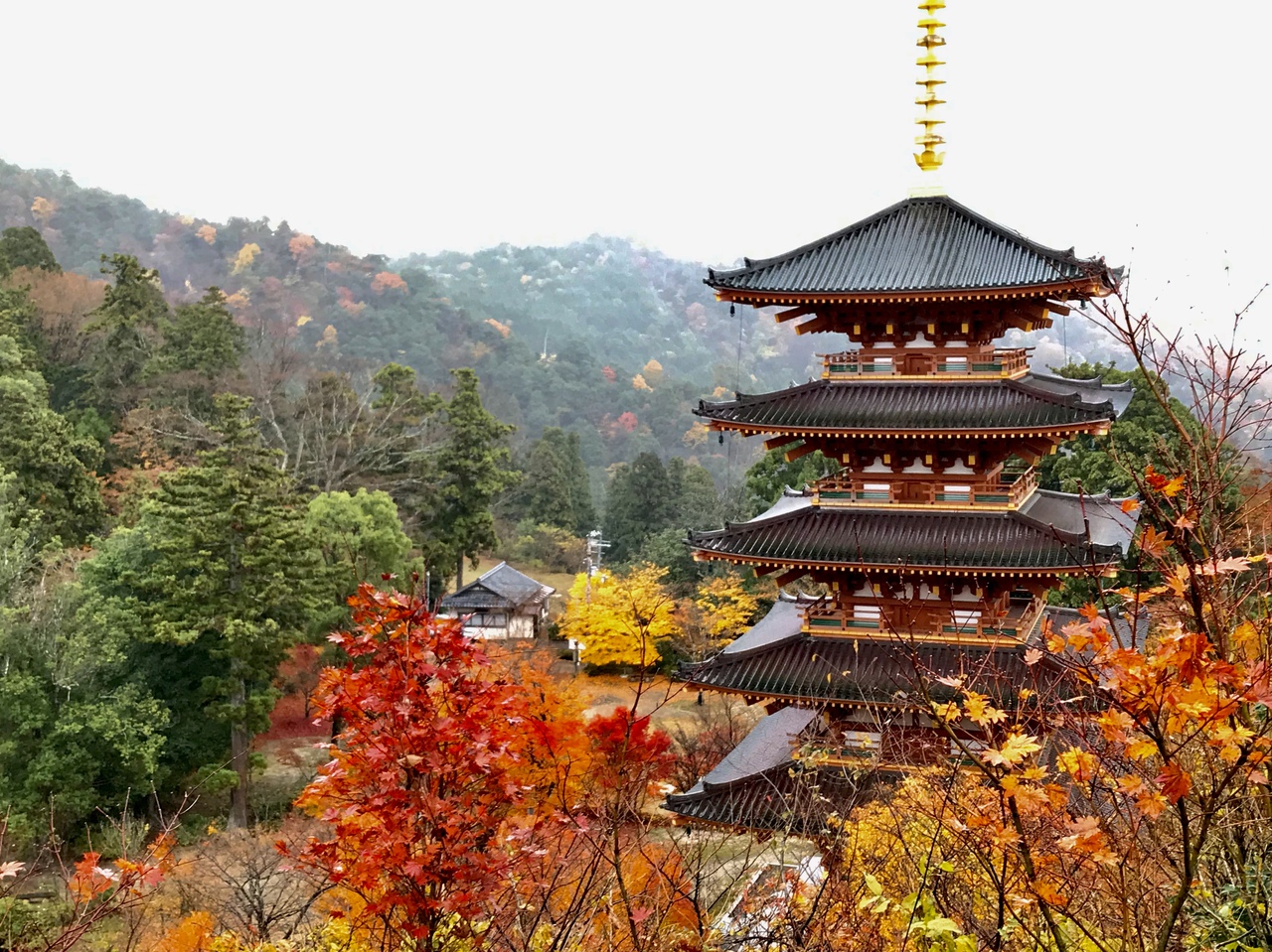西国三十三所巡り始めましたぁ 車中泊を楽しみながら行く夫婦巡礼の旅 第二十八番札所 成相寺 天橋立 宮津 京都 の旅行記 ブログ By きなこさん フォートラベル 西国三十三所巡り始めましたぁ 車中泊を楽しみながら行く夫婦巡礼の旅 第二十八番札所 成相寺 天橋立 宮津 京都 の旅行記 ブログ By きなこさん フォートラベル