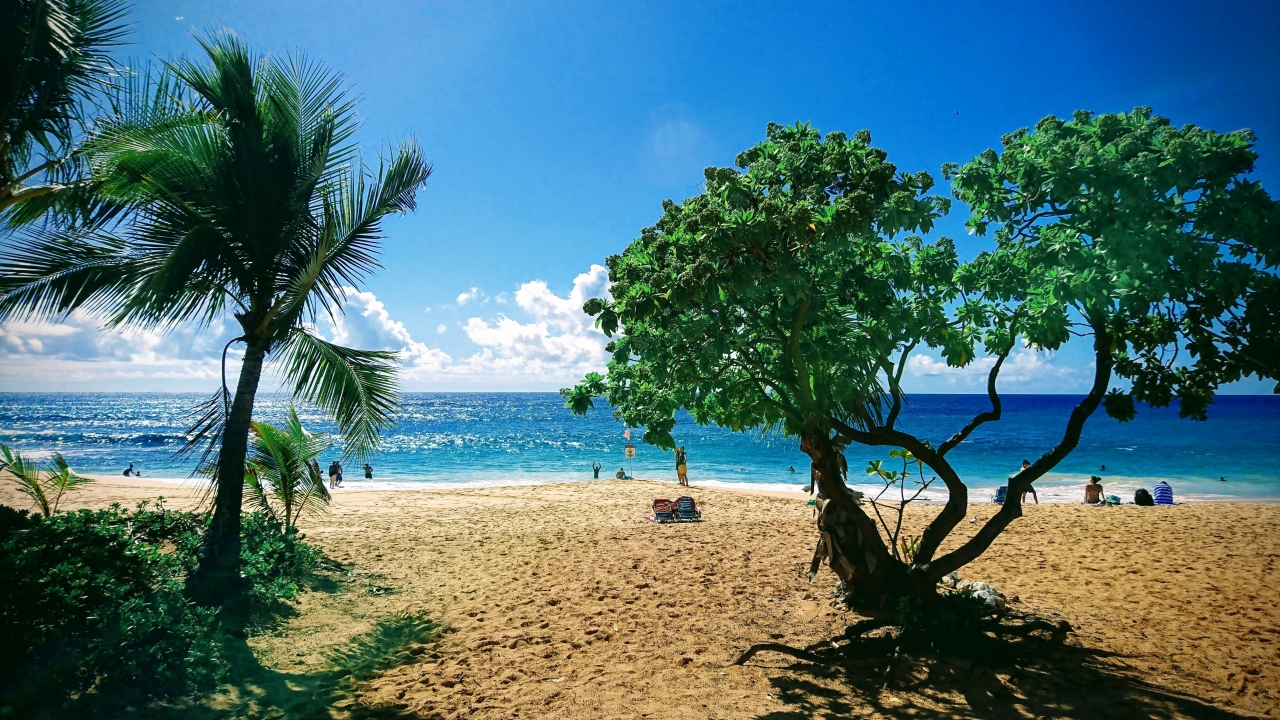 多忙につきハワイだよ の巻 2日目 オアフ島 ハワイ の旅行記 ブログ By Candyさん フォートラベル