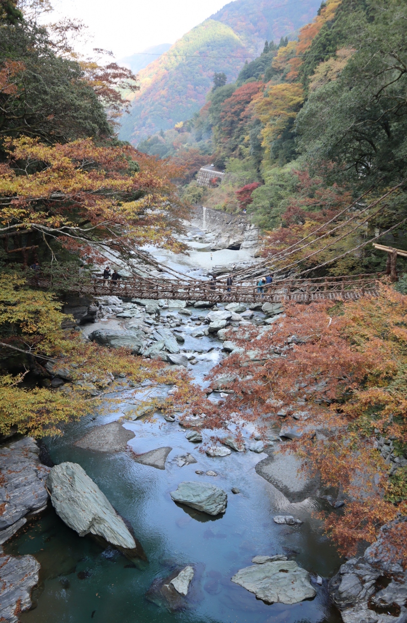 四国周遊 日本３大秘境 祖谷渓と大歩危小歩危めぐります 祖谷渓 かずら橋 大歩危 徳島県 の旅行記 ブログ By Yamajiさん フォートラベル