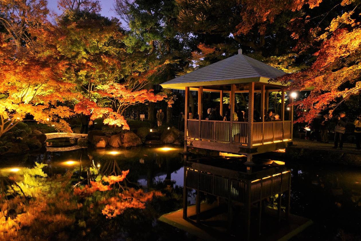 大田黒公園 紅葉ライトアップ 荻窪 西荻窪 東京 の旅行記 ブログ By みやっちさん フォートラベル