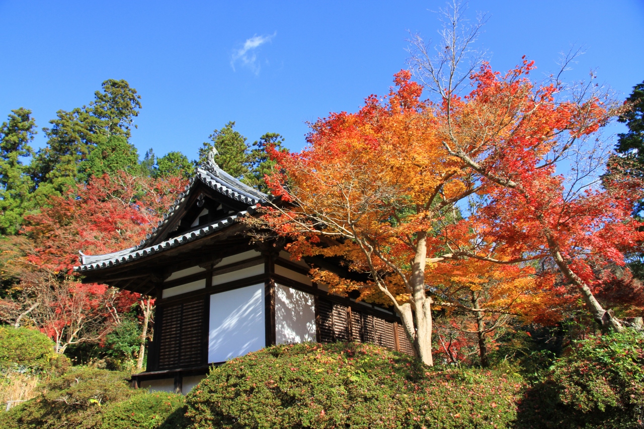 観心寺の紅葉 河内長野 大阪 の旅行記 ブログ By きよさん フォートラベル