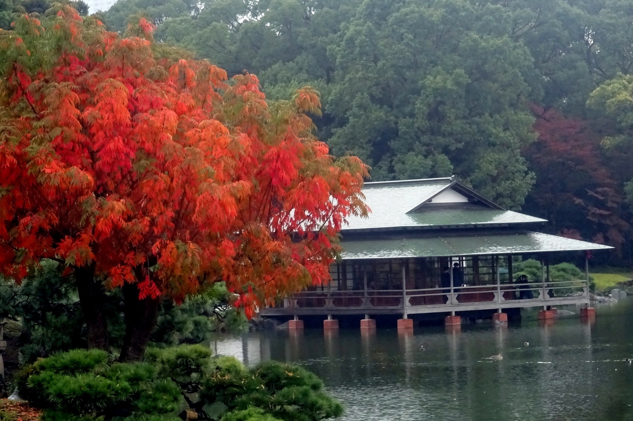 深川散歩 清澄庭園 深川江戸資料館 富岡八幡宮 木場 東陽町 清澄 東京 の旅行記 ブログ By Takeおじさん フォートラベル 深川散歩 清澄庭園 深川江戸資料館 富岡八幡宮 木場 東陽町 清澄 東京 の旅行記 ブログ By Takeおじさん フォートラベル