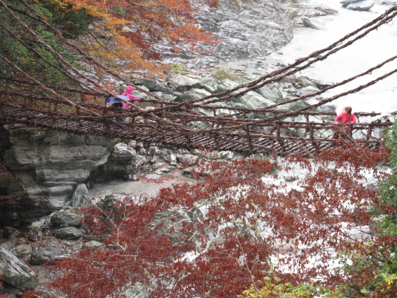 大江戸温泉物語 レオマの森 大歩危小歩危紅葉散策 ２ ２ 丸亀 宇多津 多度津 香川県 の旅行記 ブログ By Ma Yuさん フォートラベル
