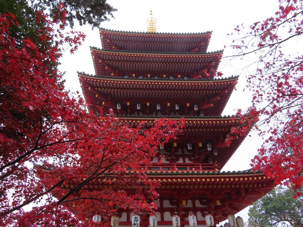 高幡不動不動尊の紅葉 スシロー 19 12 02 東京の旅行記 ブログ By 台湾見聞録さん フォートラベル