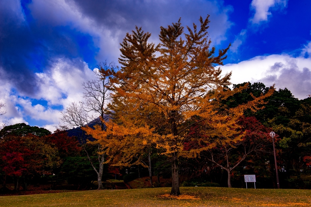 南立石公園の紅葉 19 別府温泉 大分県 の旅行記 ブログ By 気まぐれなデジカメ館さん フォートラベル 南立石公園の紅葉 19 別府温泉 大分県 の旅行記 ブログ By 気まぐれなデジカメ館さん フォートラベル