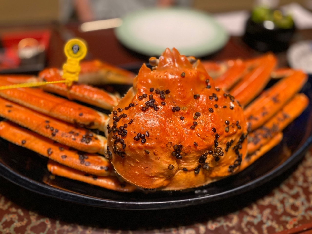 年3月 3シーズン続けての越前蟹道楽の旅 料理宿 やまざき 金沢 初グランクラス 越前海岸 福井県 の旅行記 ブログ By ニーコさん フォートラベル 年3月 3シーズン続けての越前蟹道楽の旅 料理宿 やまざき 金沢 初グランクラス 越前海岸 福井県 の旅行記 ブログ By ニーコさん フォートラベル