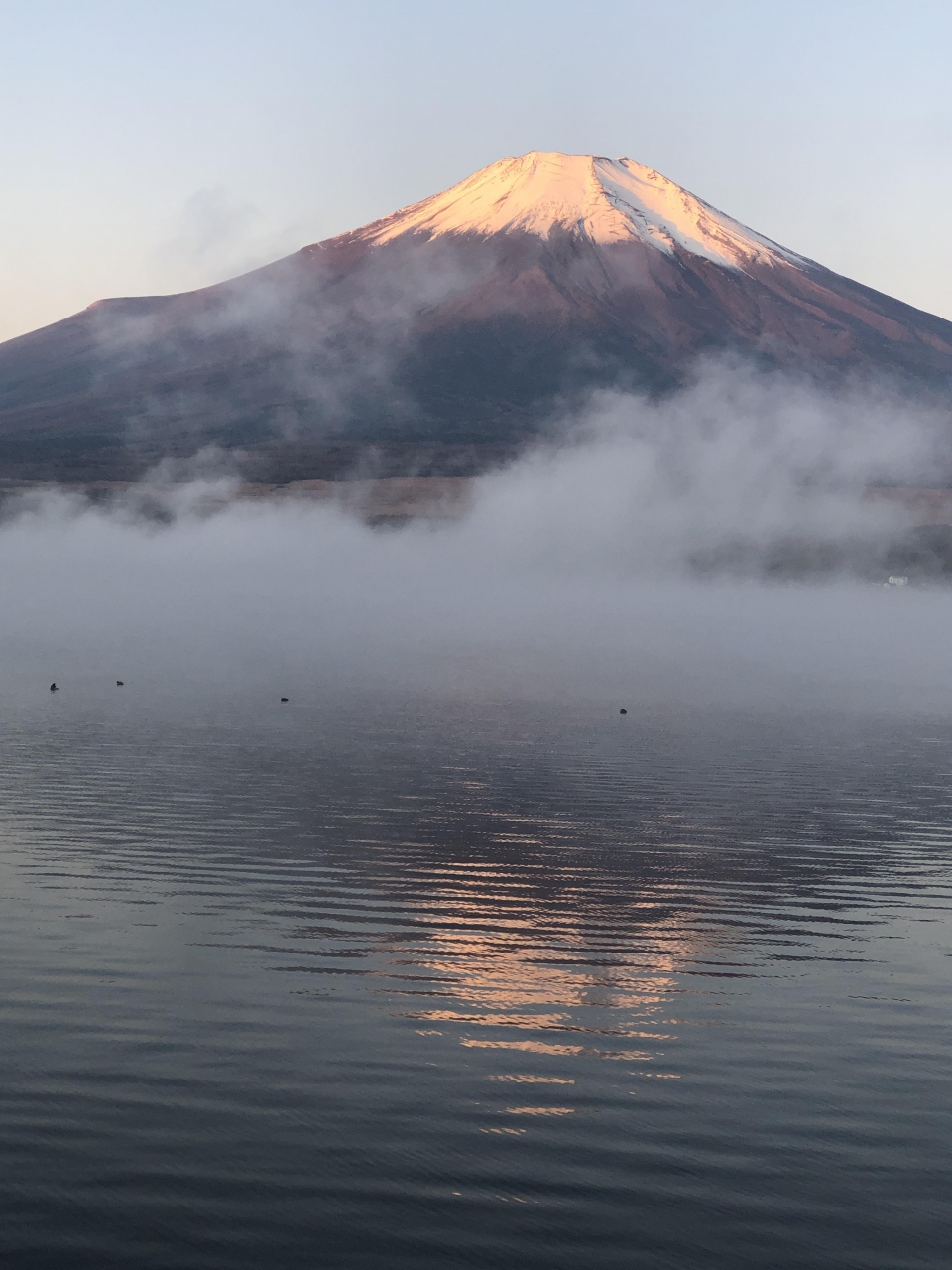 山中湖で初のオーベルジュ 富士五湖 山梨県 の旅行記 ブログ By Ktoku3さん フォートラベル