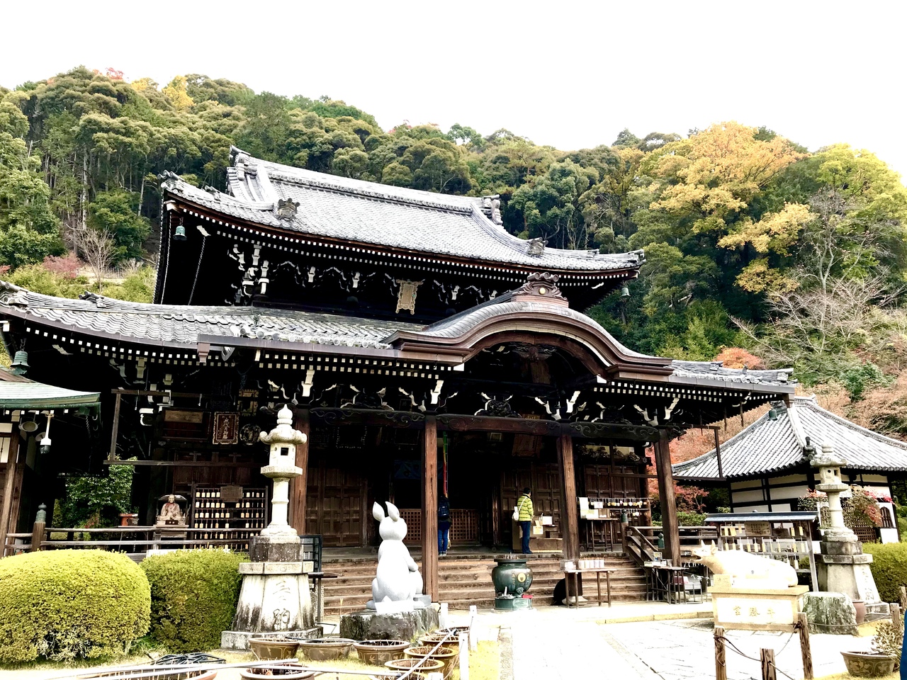 西国三十三所巡り始めましたぁ 車中泊を楽しみながら行く夫婦巡礼の旅 第十番札所 三室戸寺 と第十一番札所 醍醐寺 宇治 京都 の旅行記 ブログ By きなこさん フォートラベル 西国三十三所巡り始めましたぁ 車中泊を楽しみながら行く夫婦巡礼の旅 第十番札所 三室戸寺 と第十一番札所 醍醐寺 宇治 京都 の旅行記 ブログ By きなこさん フォートラベル