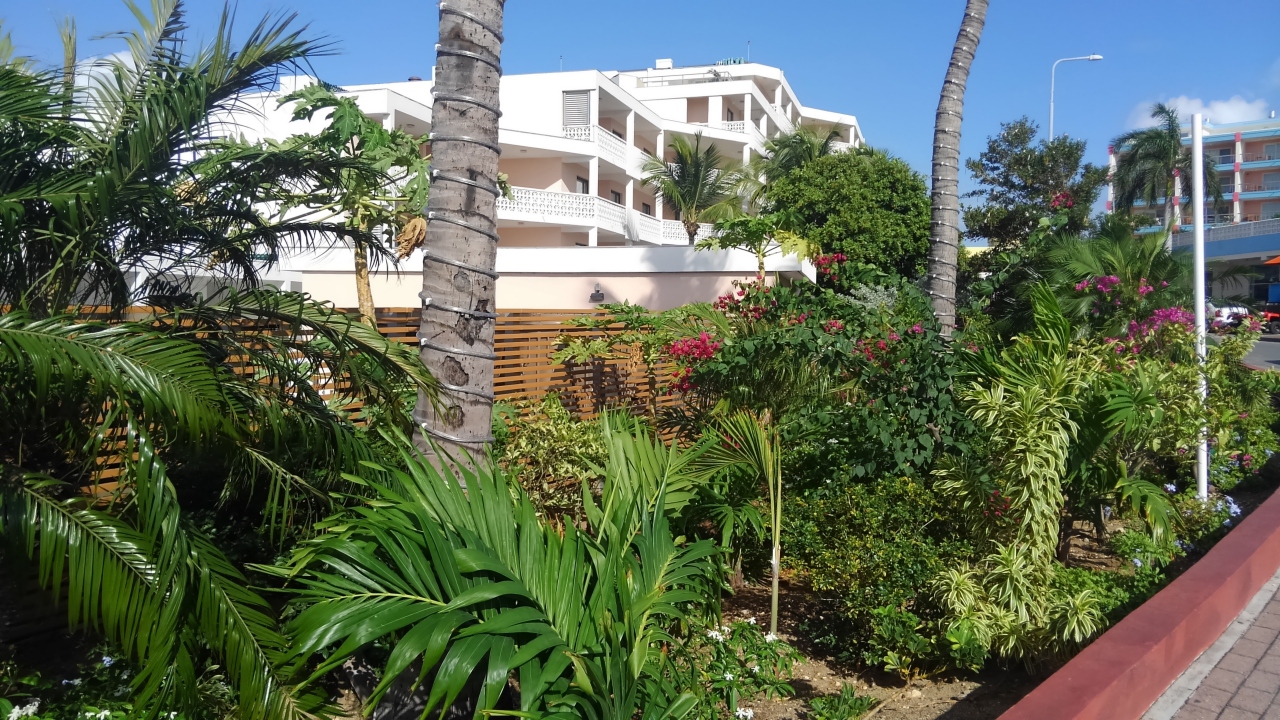 二度目のセントマーチンその6 フィリップスブルフ セント マーチン島 の旅行記 ブログ By travairさん フォートラベル 二度目のセントマーチンその6 フィリップスブルフ セント マーチン島 の旅行記 ブログ By travairさん フォートラベル