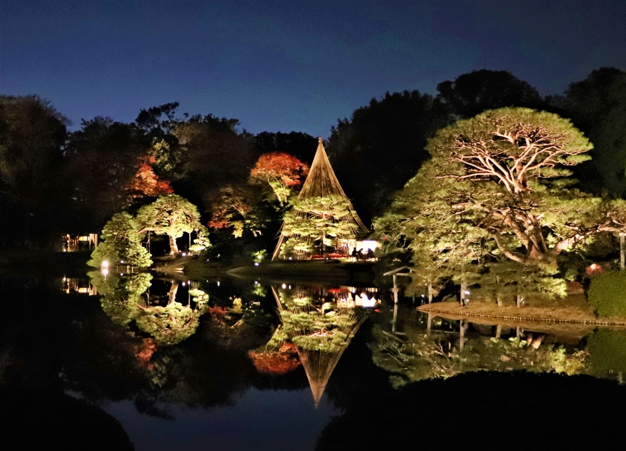 妖香漂うアヘン窟 東洋一華麗な書棚 モリソン書庫 雪吊の六義園 大塚 巣鴨 駒込 東京 の旅行記 ブログ By ウェンディさん フォートラベル 妖香漂うアヘン窟 東洋一華麗な書棚 モリソン書庫 雪吊の六義園 大塚 巣鴨 駒込 東京 の旅行記 ブログ By ウェンディさん フォートラベル