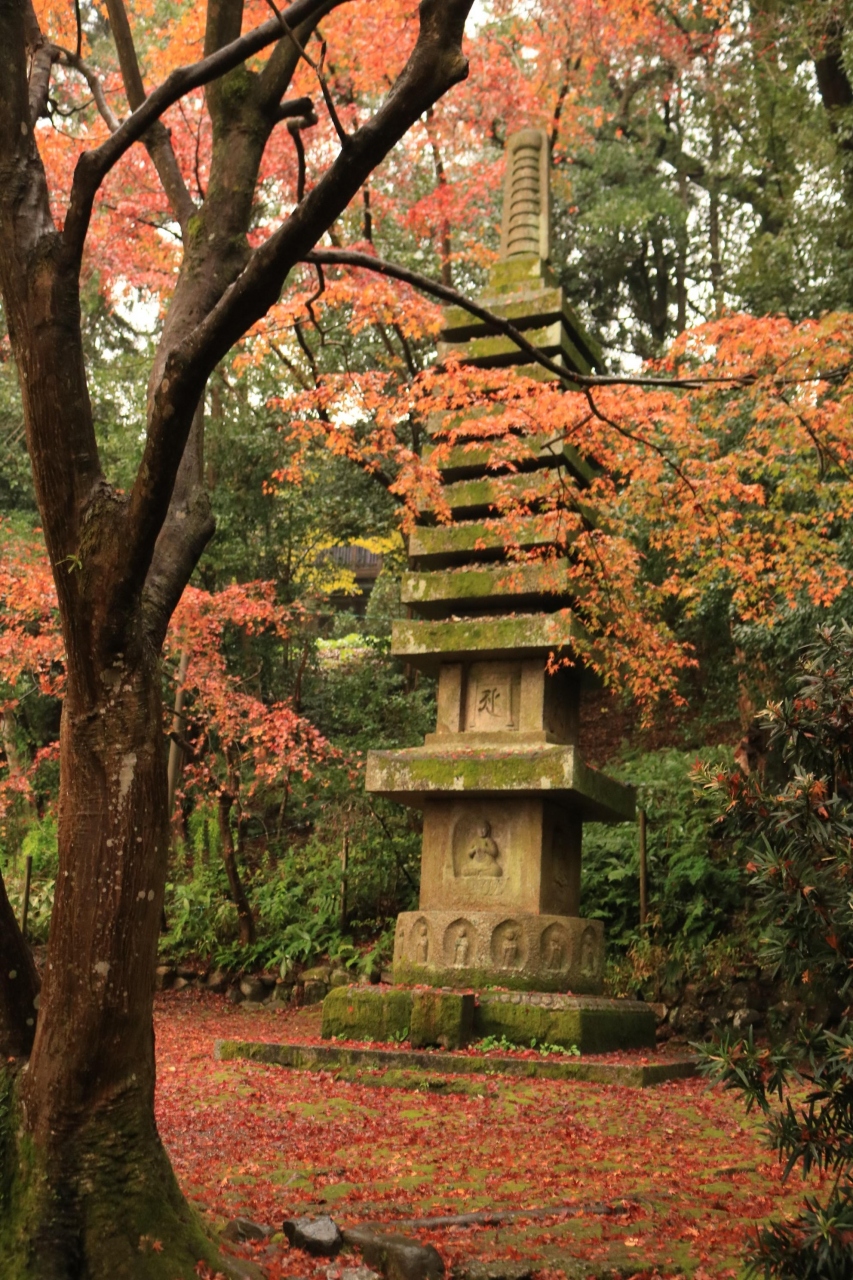三井ガーデンホテル新町別邸に泊る5日間 暮らすように旅をした晩秋の京都 ２日目八坂神社 祇園 清水寺 円山公園 知恩院 東山 祇園 北白川 京都 の旅行記 ブログ By みちるさん フォートラベル