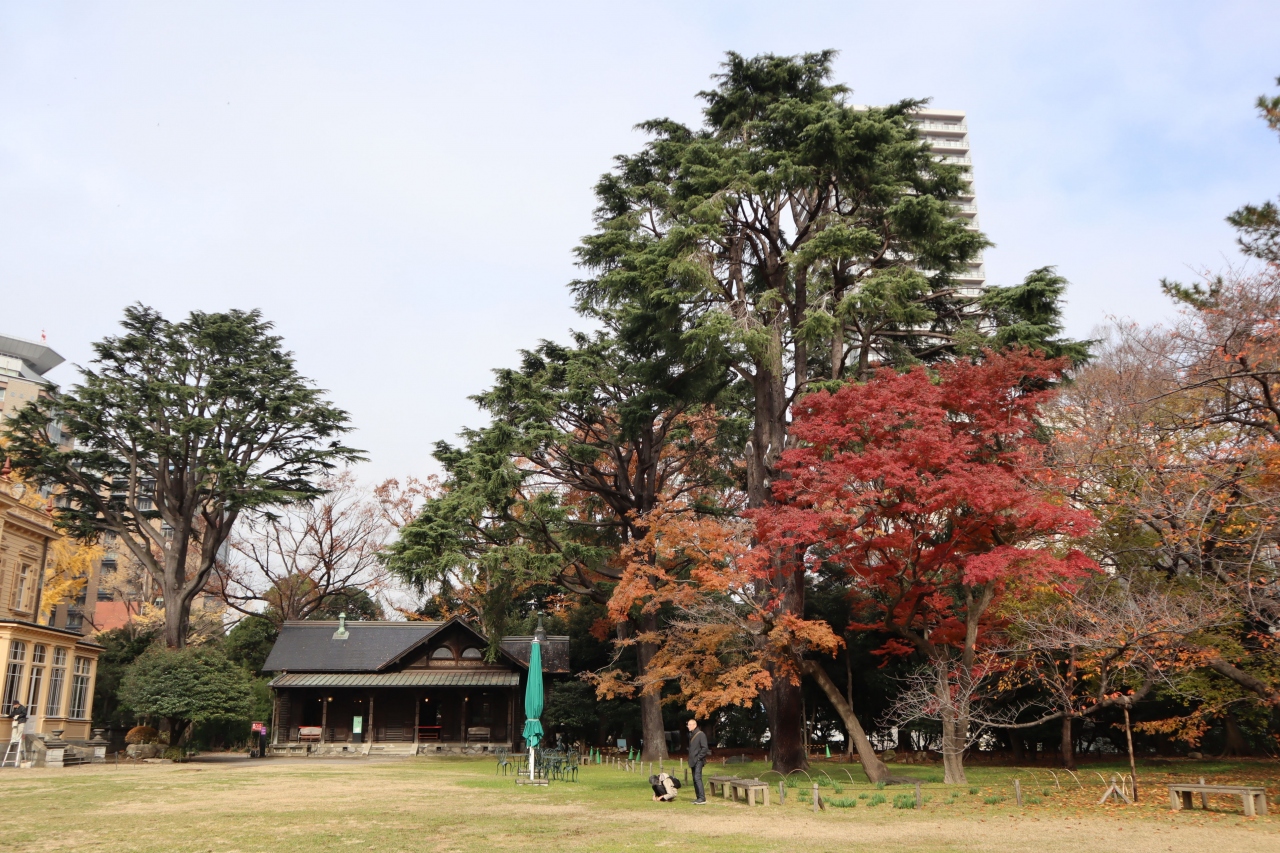 旧岩崎邸庭園 洋館の外観 洋式庭園 撞球室をめぐります 上野 御徒町 東京 の旅行記 ブログ By Yamajiさん フォートラベル