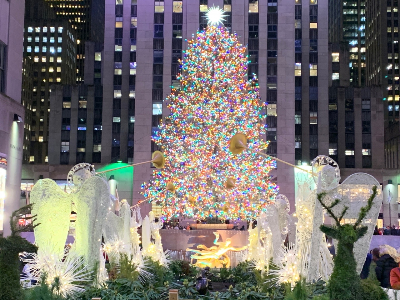 19 12月ニューヨーク再訪 美術館巡り Aの旅 ４ クリスマスシーズンの夜 ニューヨーク アメリカ の旅行記 ブログ By ひなこさん フォートラベル