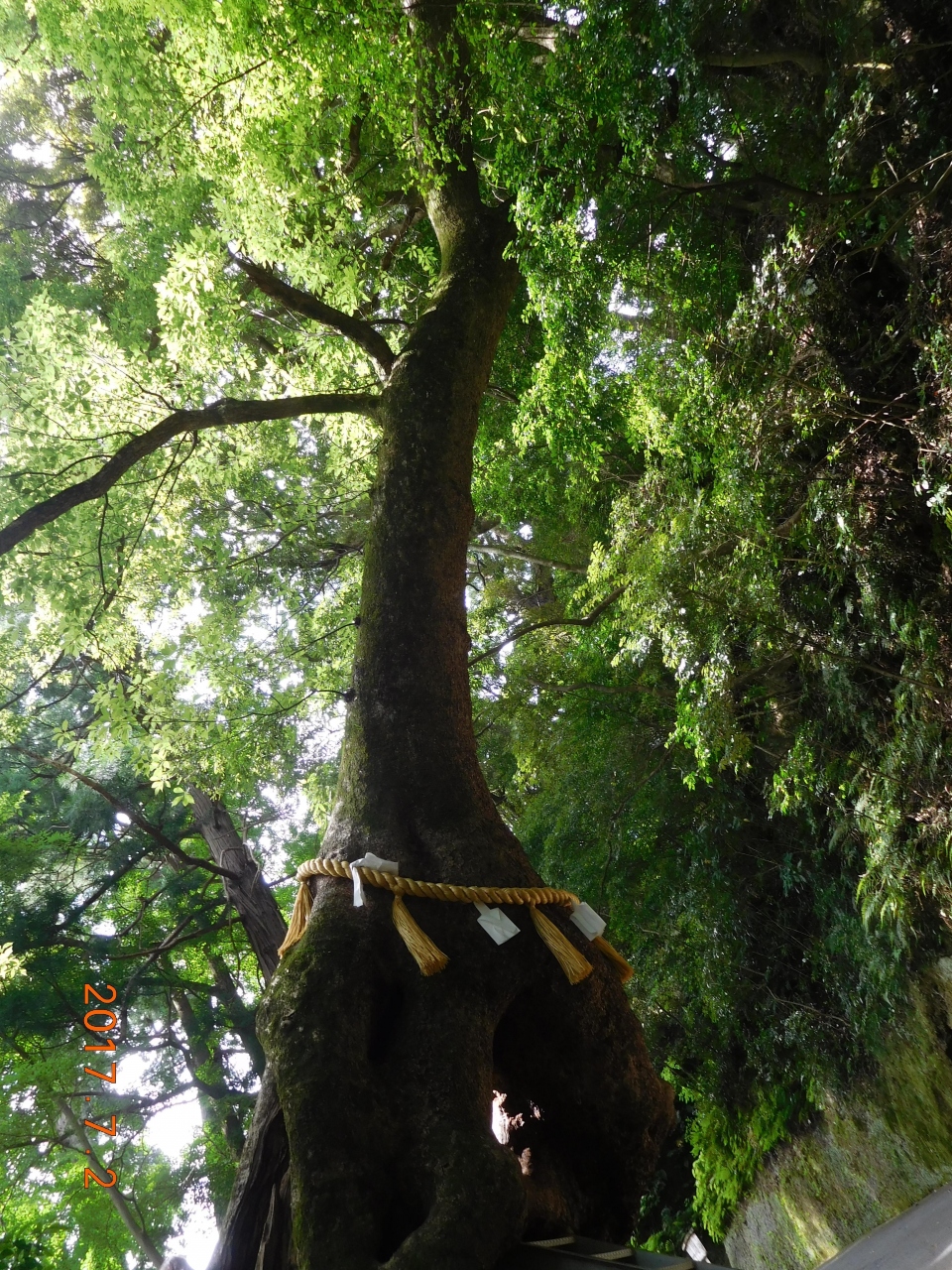 妊娠のお礼に ー笠森観音 長福寿寺ー 長南 睦沢 千葉県 の旅行記 ブログ By 城megrist Pinchanさん フォートラベル