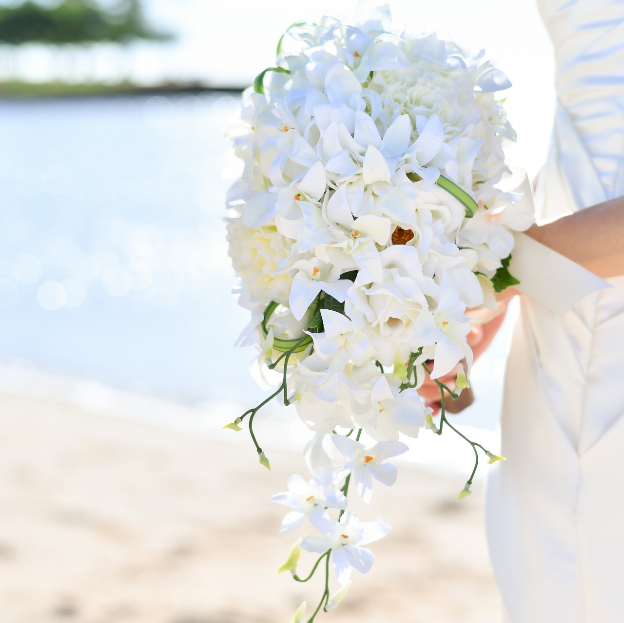 結婚10周年フォトウェディング オアフ島2日目 撮影本番 ホノルル ハワイ の旅行記 ブログ By ぷーぱんさん フォートラベル