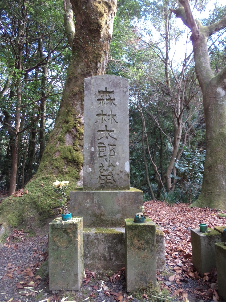 19冬 島根100名城津和野城 続100名城浜田城 津和野 島根県 の旅行記 ブログ By もっちさん フォートラベル