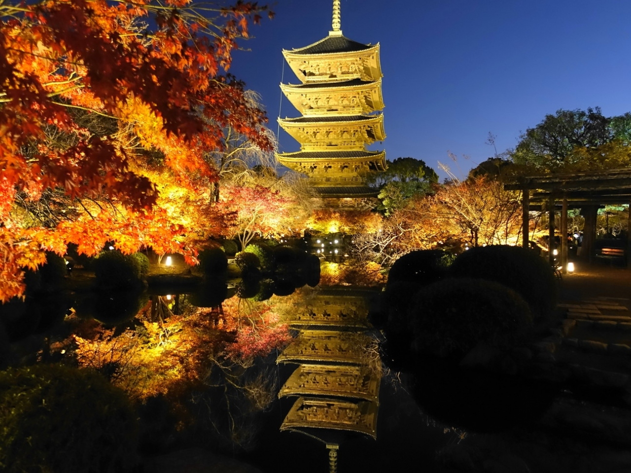 19冬 東寺で紅葉ライトアップ 京都駅周辺 京都 の旅行記 ブログ By Rosaryさん フォートラベル