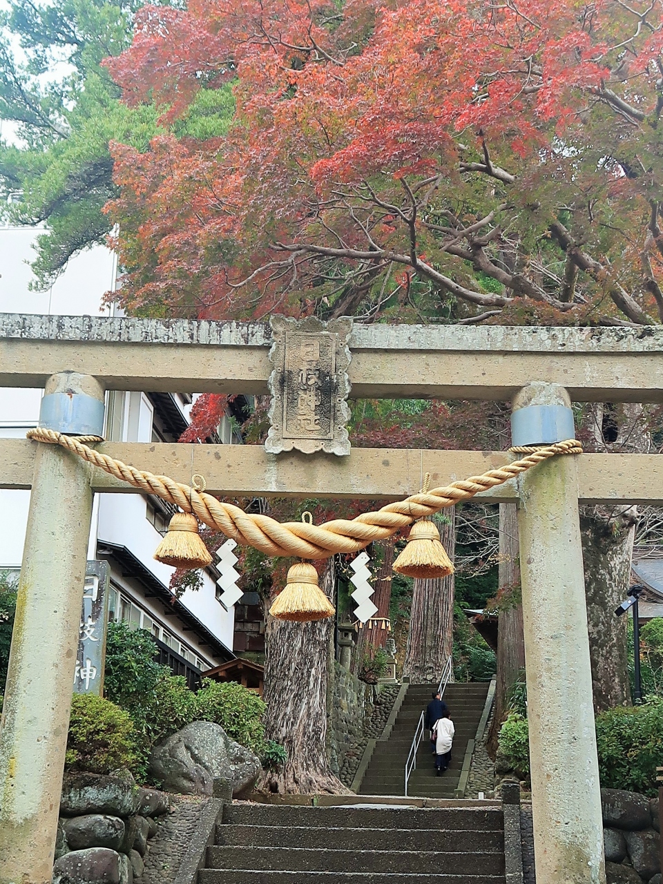 修善寺 2 日枝神社に参拝 イチイガシ 県 天然記念物 縁結び 子宝祈願の神社 修善寺温泉 静岡県 の旅行記 ブログ By マキタン２さん フォートラベル