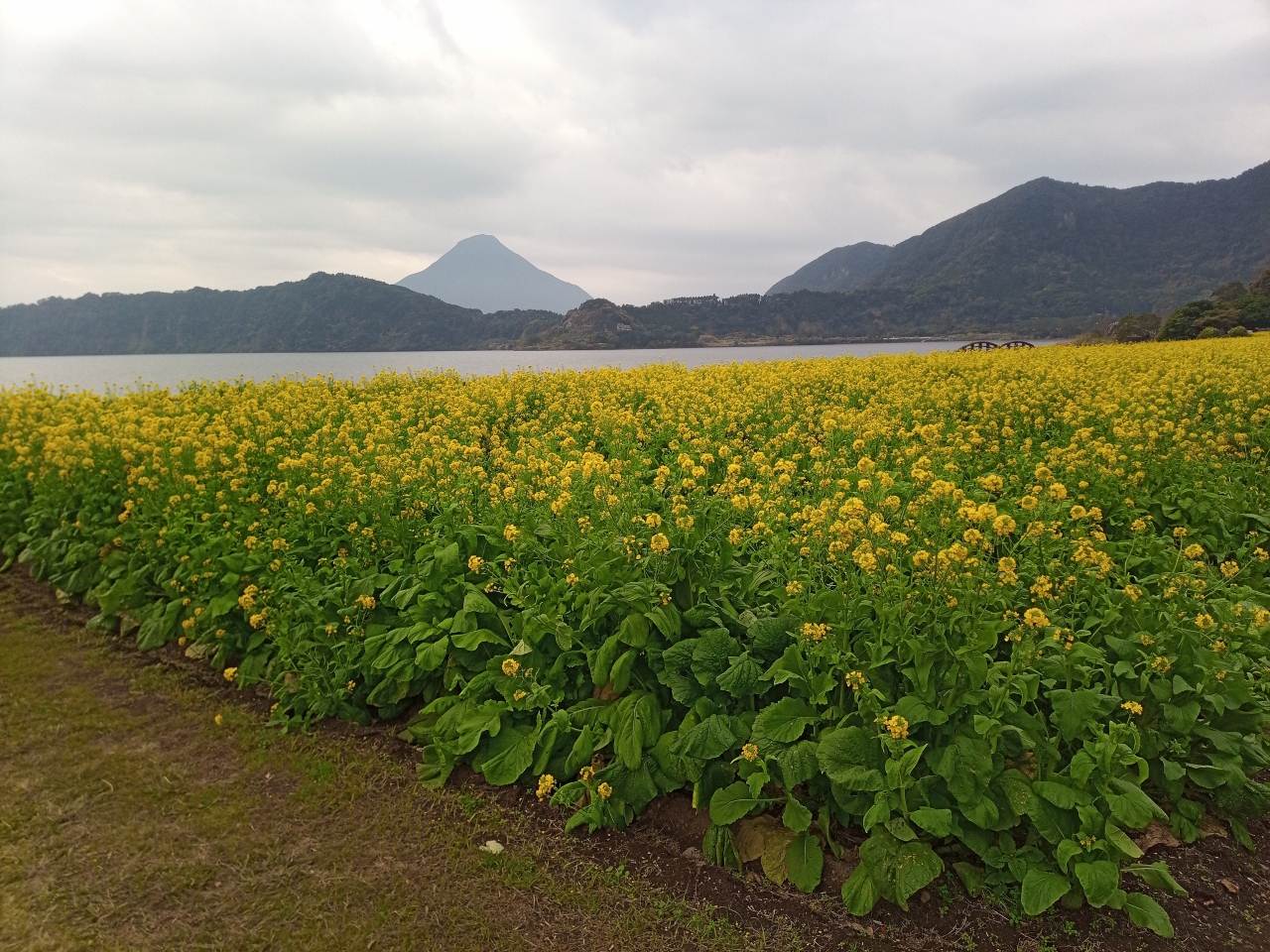 指宿市立北指宿中学校